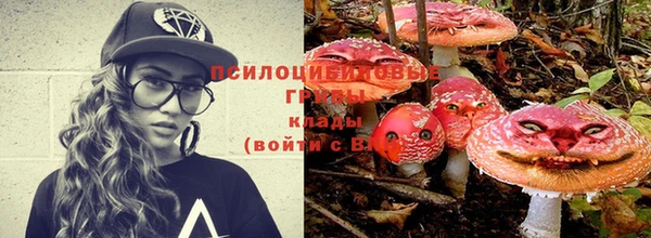 СК Козельск