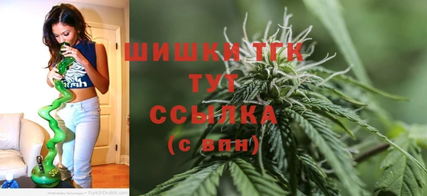 шишки Козловка