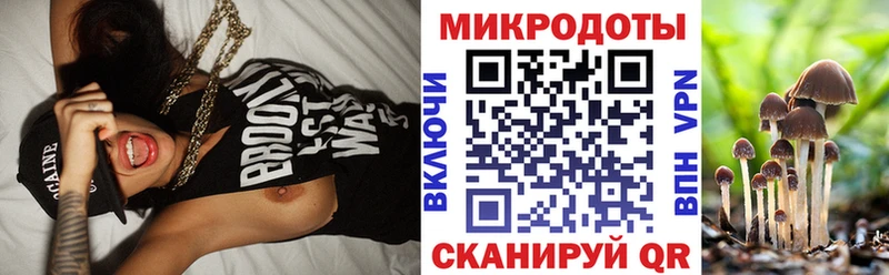 Псилоцибиновые грибы прущие грибы  Купить закладки  Новошахтинск 